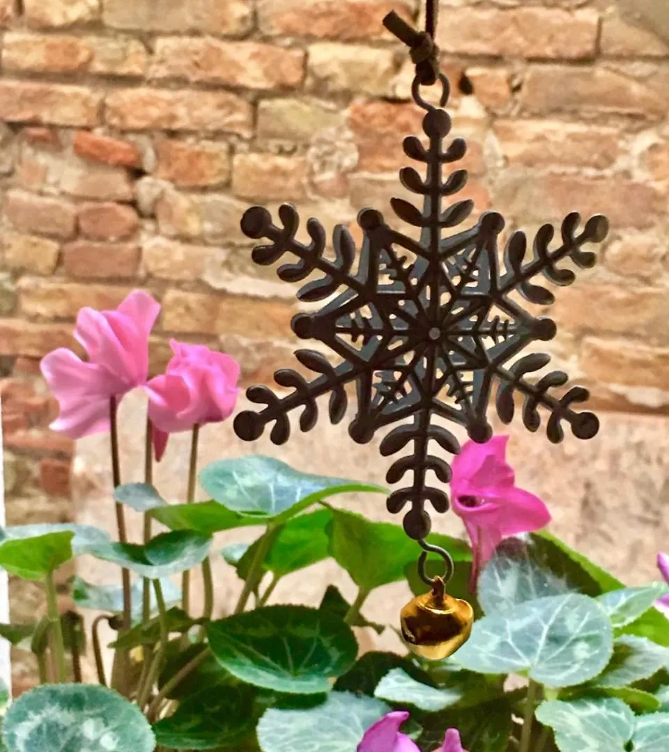 Appartamento Barbara'S Studios Chioggia